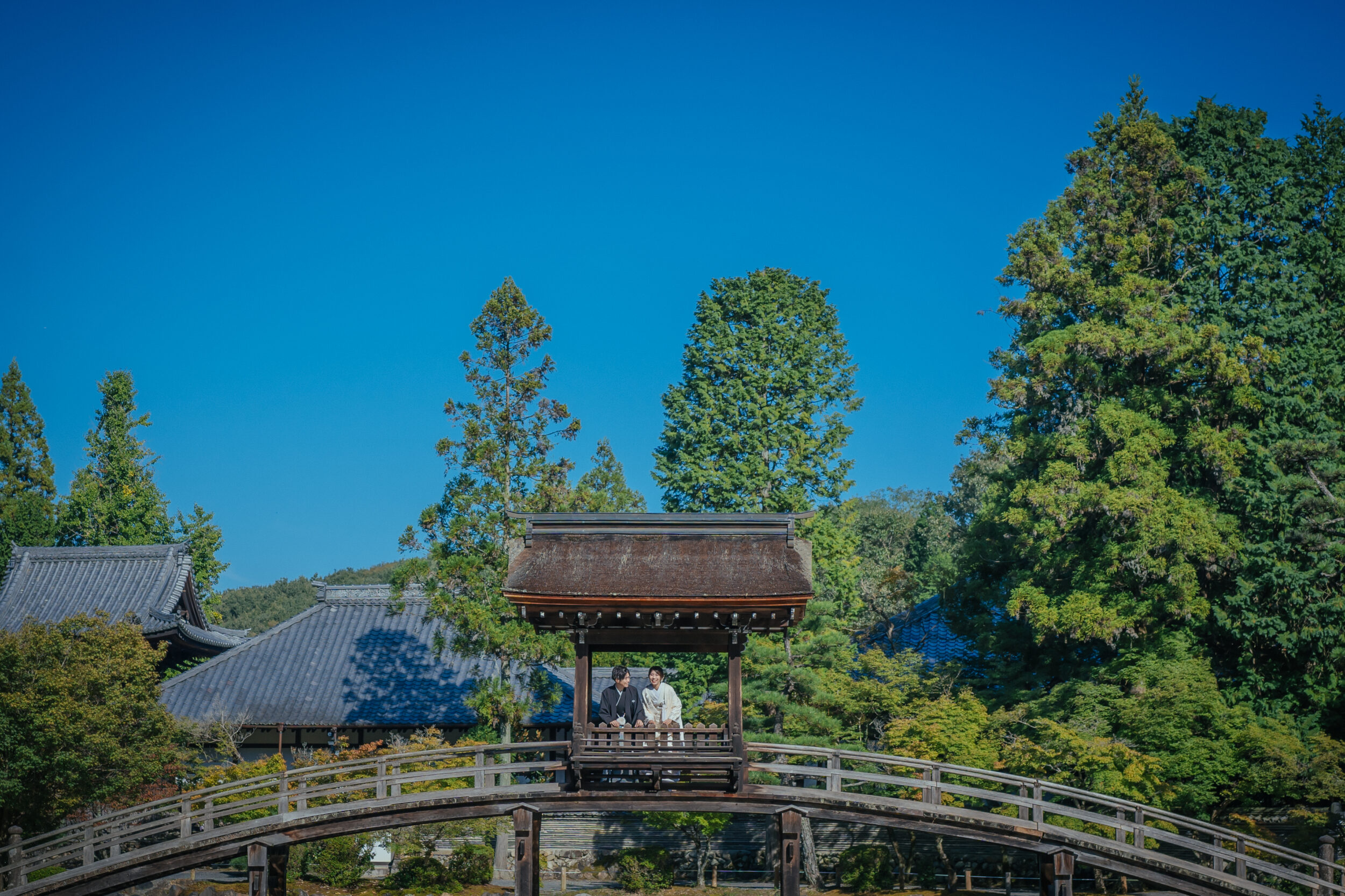 KAWACHIYA（川地家）